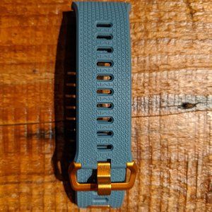 Fitbit Ionic Slate Blue Watch Band | Large | NEW